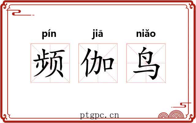 频伽鸟