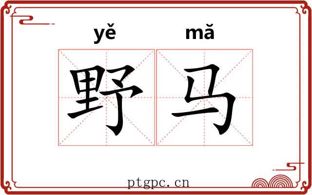 野马 野马