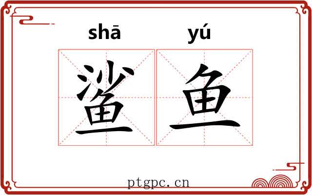 鲨鱼