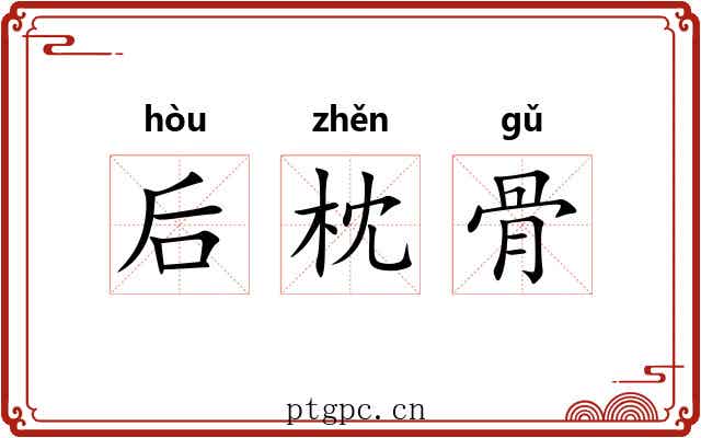 后枕骨 后枕骨