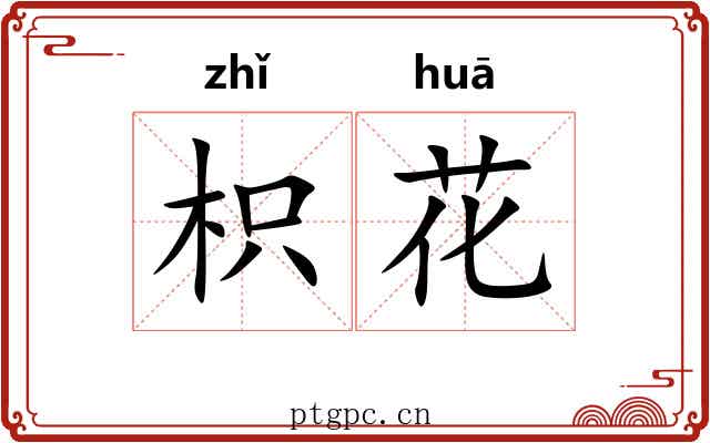 枳花 枳花