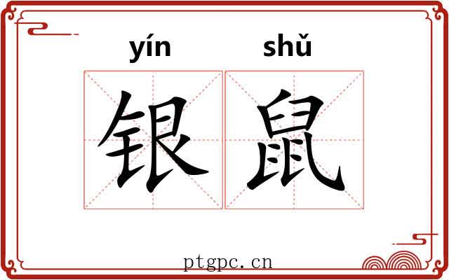 银鼠 银鼠