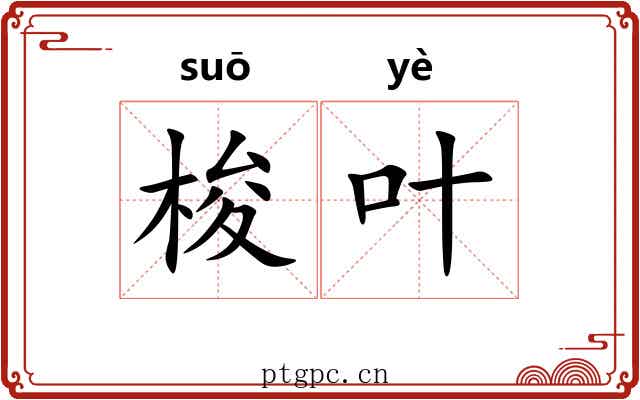 梭叶