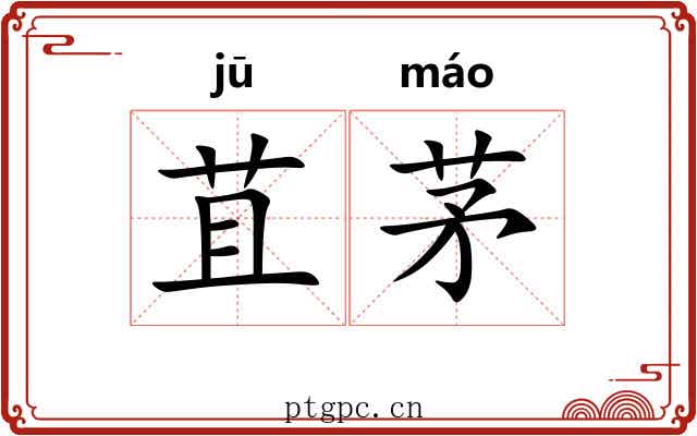 苴茅