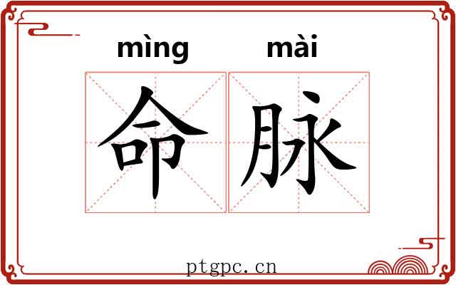 命脉 命脉