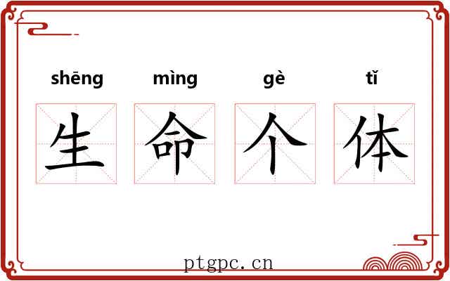 生命个体