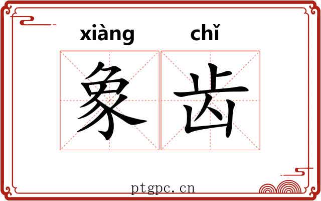 象齿 象齿