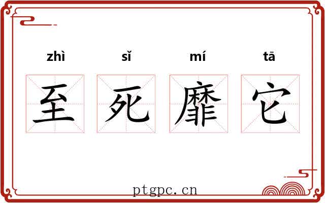 至死靡它 至死靡它