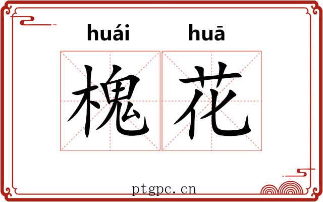 槐花 槐花