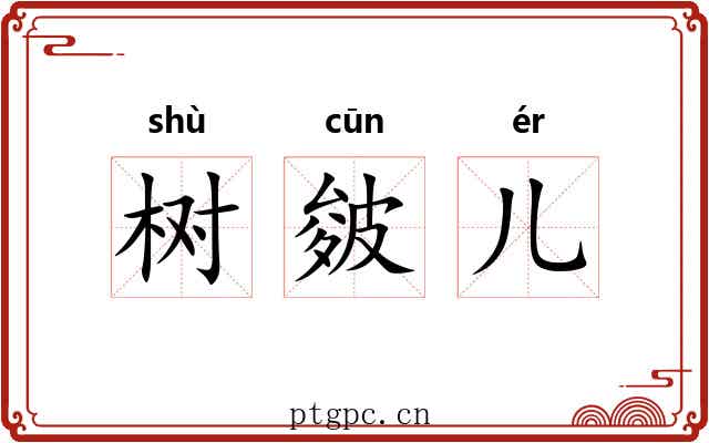 树皴儿