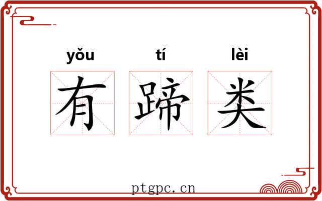 有蹄类 有蹄类