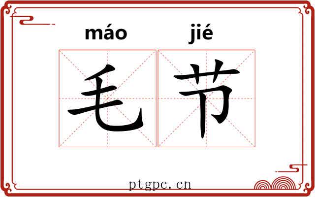 毛节 毛节