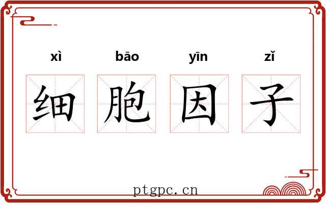 细胞因子
