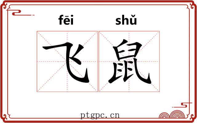 飞鼠 飞鼠