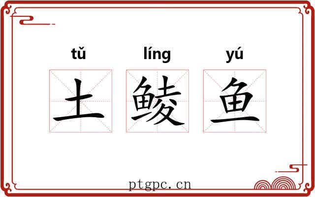 土鲮鱼 土鲮鱼