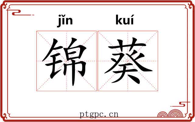 锦葵 锦葵