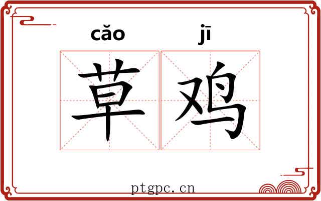 草鸡 草鸡