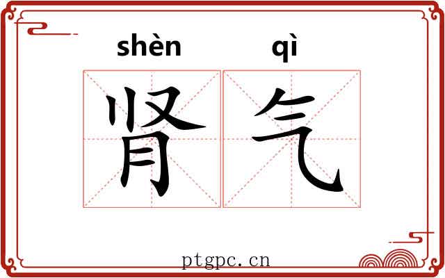 肾气