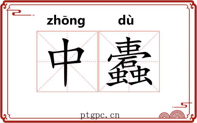中蠹 中蠹