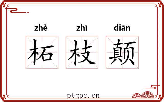 柘枝颠