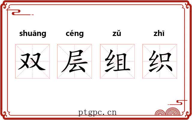双层组织 双层组织