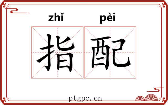 指配 指配