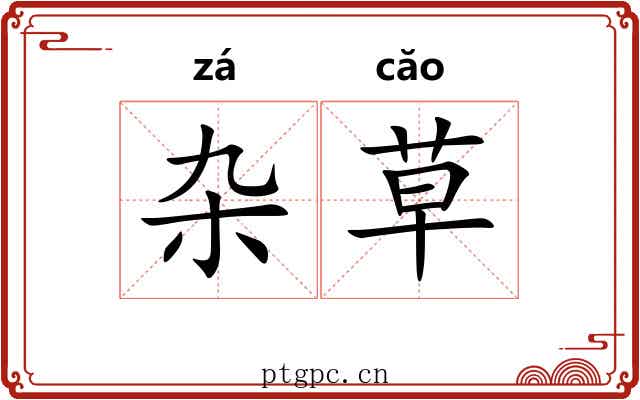 杂草 杂草