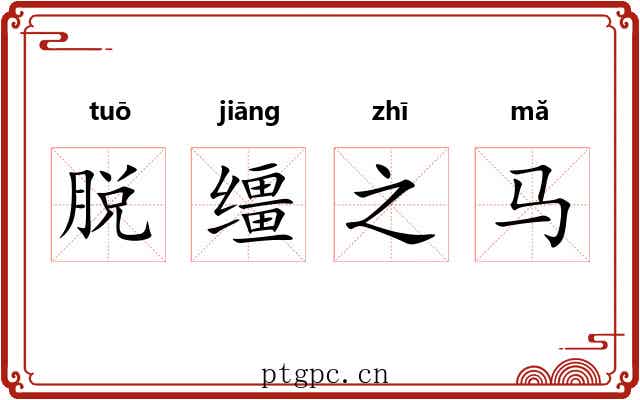 脱缰之马 脱缰之马
