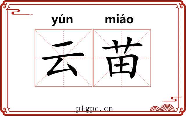 云苗 云苗
