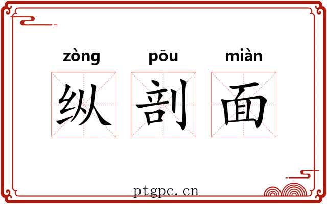 纵剖面 纵剖面