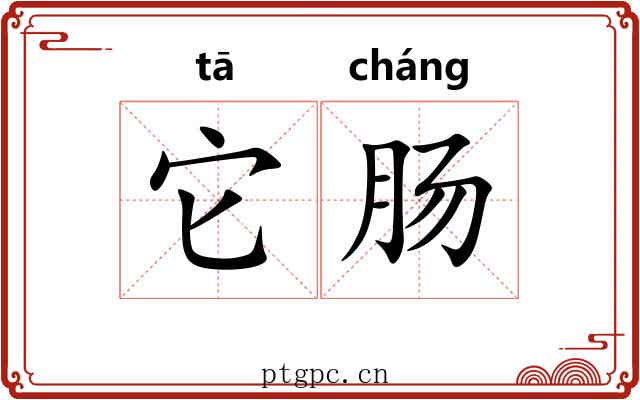 它肠