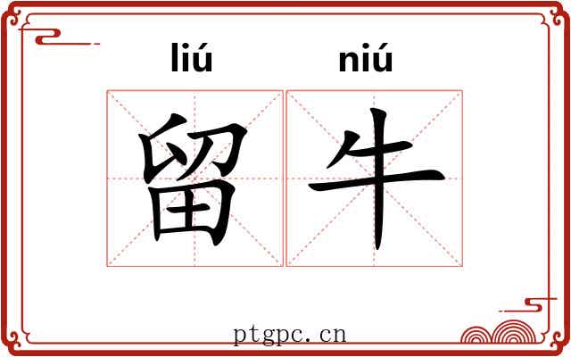 留牛