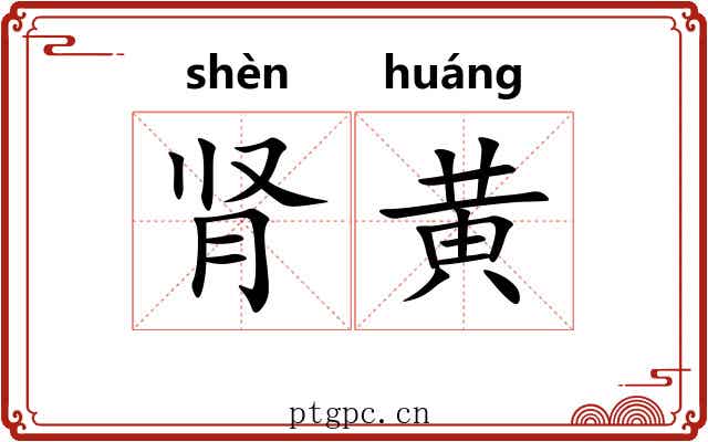 肾黄