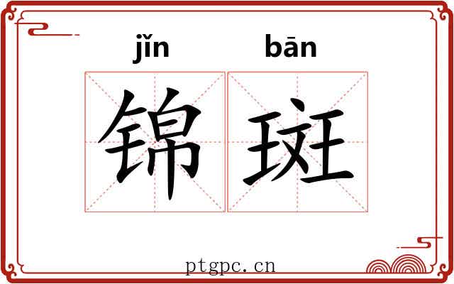 锦斑
