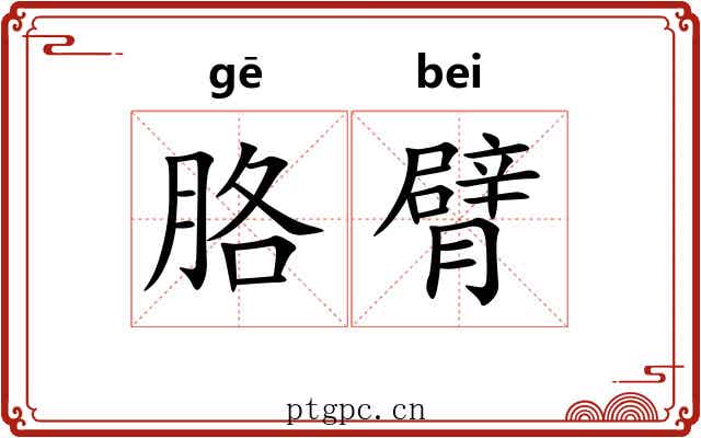胳臂