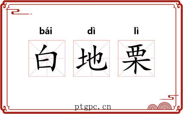 白地栗 白地栗