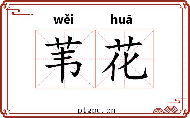 苇花 苇花