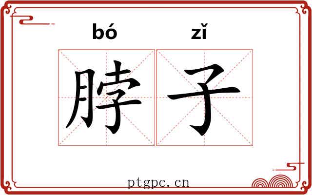 脖子 脖子