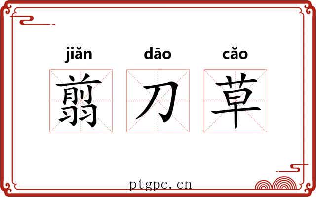 翦刀草 翦刀草
