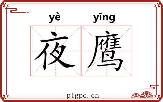 夜鹰