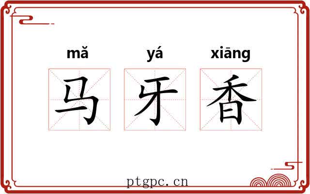 马牙香