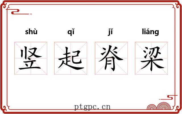 竖起脊梁 竖起脊梁