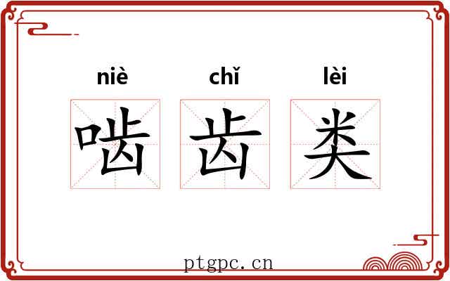 啮齿类 啮齿类