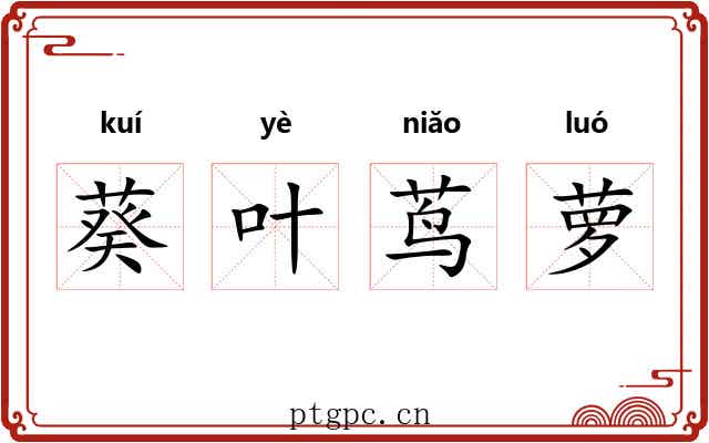 葵叶茑萝 葵叶茑萝