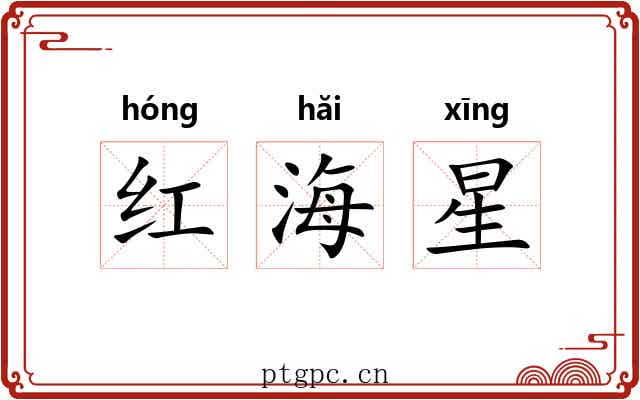 红海星 红海星