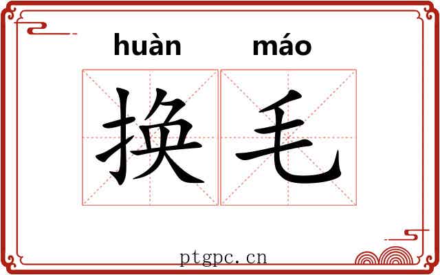 换毛
