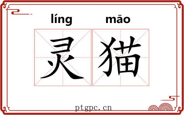 灵猫