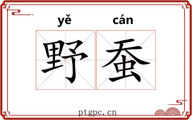 野蚕 野蚕