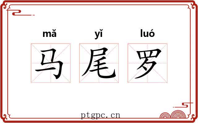 马尾罗