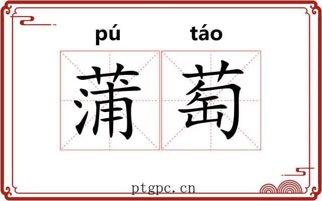 蒲萄